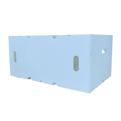 Jesu li kutije od PP ploča otporne na plijesan?